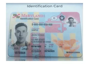 MARYLAND ID CARD 4SALE