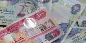 Buy Emirati Dirham Online - Secure Currency Exchange